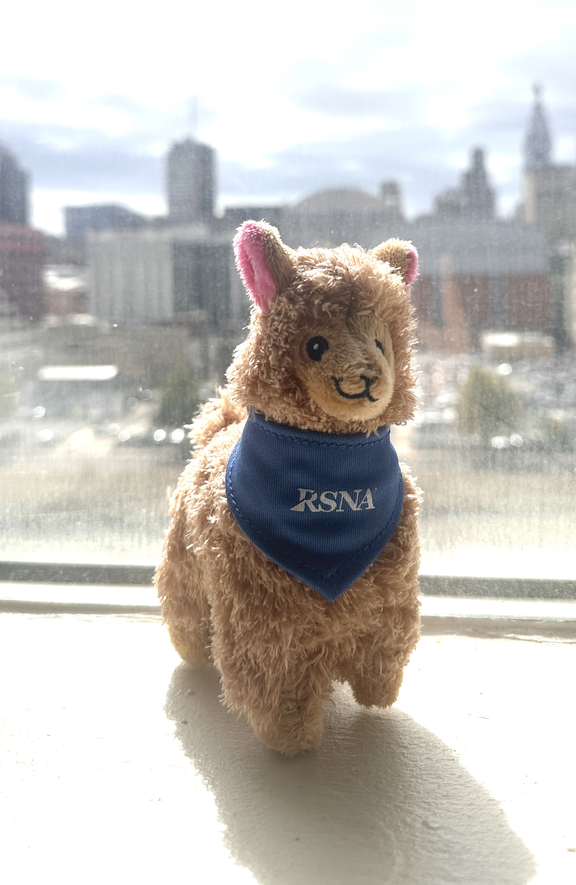 RSNA alpaca swag on a windowsill with city skyline in the background